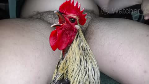 classified online show from 12-29-24, 01:34