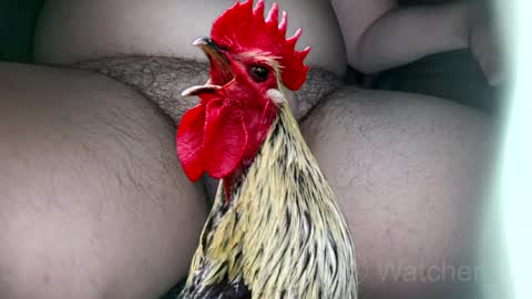 classified online show from 10-07-25, 08:17