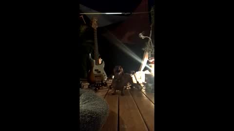 watershed111111 online show from 02-19-26, 03:13