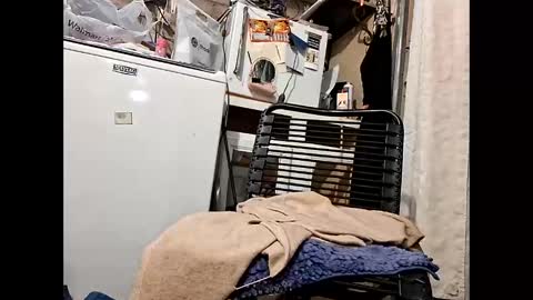 Snapshot of wcnmail24 chatting on 02-16-26, 07:21 wcnmail24 online show from 02-16-26, 07:21