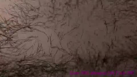 Lili online show from 04-24-26, 07:00