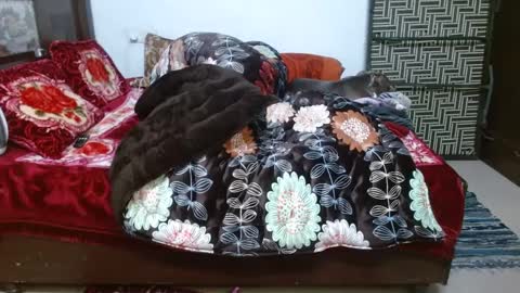 Snapshot of we_are_indian chatting on 12-23-24, 12:08 khushiwife kabirhubby kavyasexy gf online show from 12-23-24, 12:08