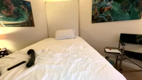 Retainer Forever Solo Album online show from 03-07-26, 07:38