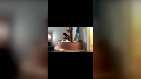 Mrmrs VIP online show from 03-19-26, 11:53