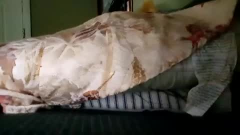 Snapshot of welldny chatting on 10-19-25, 06:08 welldny online show from 10-19-25, 06:08