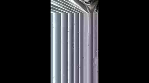 wetone308084 online show from 05-01-26, 02:54