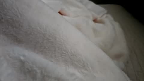 Snapshot of what_whaaat chatting on 09-21-25, 05:03 what_whaaat online show from 09-21-25, 05:03