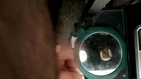 whetedoyouwantmetoputit online show from 03-10-26, 05:18