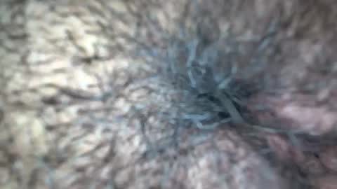 Snapshot of white_sexy_ chatting on 09-21-25, 11:34 white_sexy_ online show from 09-21-25, 11:34