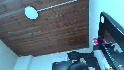 white_sexy_ online show from 01-10-26, 11:09