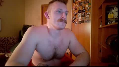 WhiteBull online show from 02-08-26, 06:11