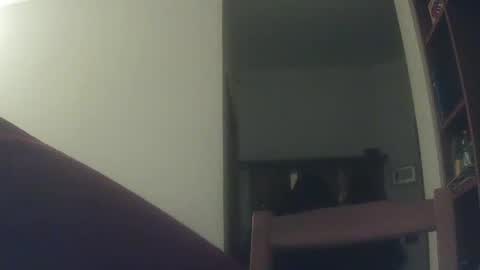 Snapshot of whiteduke81 chatting on 12-06-24, 06:17 Whiteduke online show from 12-06-24, 06:17