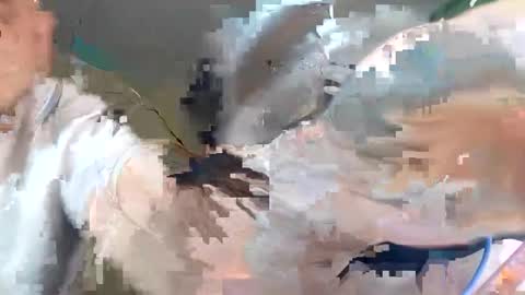 Snapshot of wikibitch chatting on 10-10-25, 09:25 WikiBitch online show from 10-10-25, 09:25