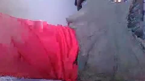 wild lemont online show from 10-08-25, 08:23