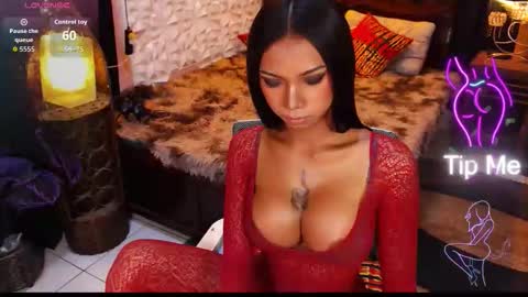 wildara online show from 05-21-26, 12:17