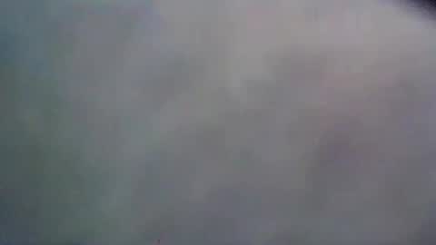 wildbrdick online show from 06-09-26, 11:00