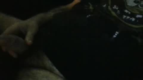 Snapshot of wildealexyz chatting on 09-28-25, 11:21 WildeAlex online show from 09-28-25, 11:21