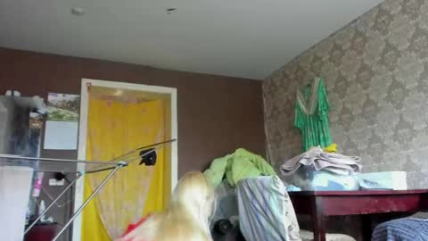 wildforestmuse  twitter online show from 04-27-26, 06:00