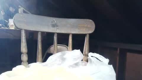 Snapshot of wildman6 chatting on 02-08-25, 08:53 wildman6 online show from 02-08-25, 08:53