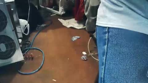 wildman6 online show from 04-24-26, 07:49