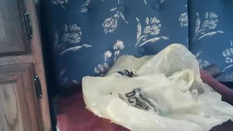 wildman6 online show from 06-03-26, 11:10