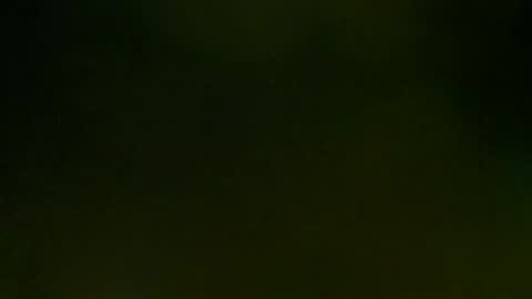 WildPersia online show from 03-08-25, 09:08