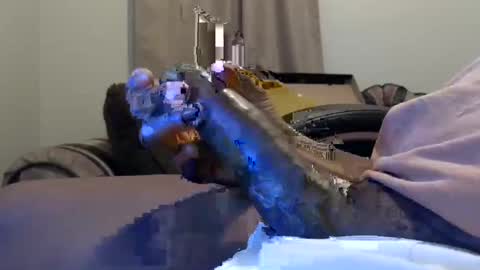 Snapshot of willied1985 chatting on 02-11-25, 09:20 willy d bbc uncut bigdick edging online show from 02-11-25, 09:20