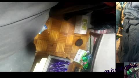 willisgod666 online show from 12-10-24, 05:28