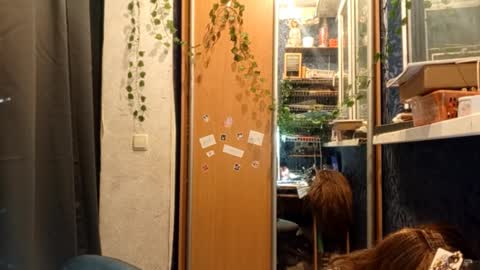 Phoebe online show from 02-11-26, 08:47