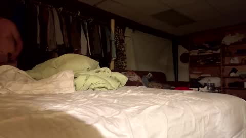 willy_dirk online show from 11-08-25, 10:04