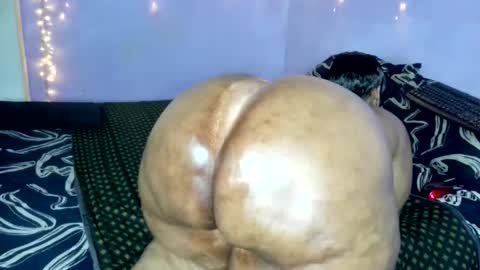 Snapshot of wilmaassylum chatting on 11-20-25, 05:51 wilmaassylum online show from 11-20-25, 05:51