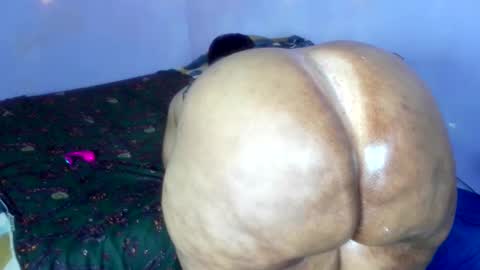 Snapshot of wilmaassylum chatting on 12-01-25, 08:52 wilmaassylum online show from 12-01-25, 08:52