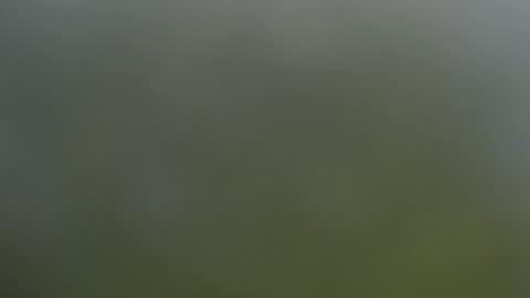 Snapshot of wisanonymousman chatting on 11-11-25, 06:08 Wisa Randy online show from 11-11-25, 06:08