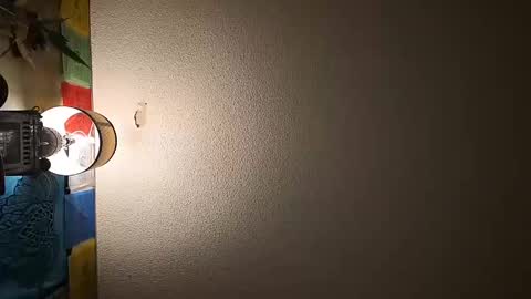 wizardmike421 online show from 11-19-25, 03:06