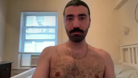 wolcott2026 online show from 06-14-26, 12:41
