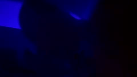 WolfX online show from 12-15-24, 05:13