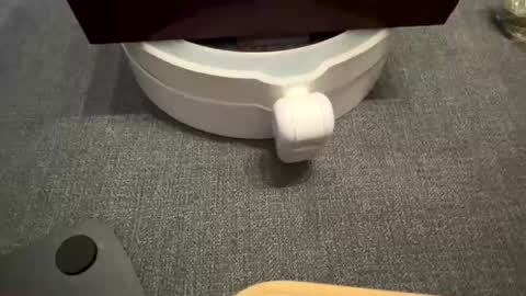 WolfX online show from 09-17-25, 11:39