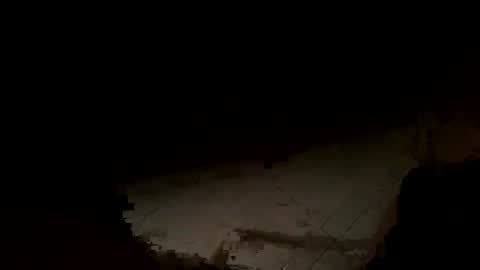 WolfX online show from 11-14-25, 02:21