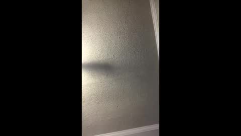 Snapshot of woodpipe69 chatting on 12-23-24, 03:01 Woodpipe69 online show from 12-23-24, 03:01