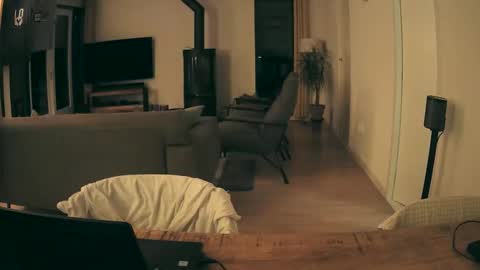 woodwurm and Snoeske online show from 01-11-26, 05:56