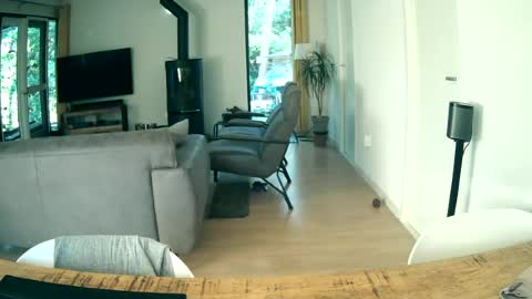 Snapshot of woodwurm chatting on 06-19-26, 05:34 woodwurm and Snoeske online show from 06-19-26, 05:34