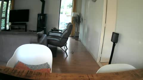 Snapshot of woodwurm chatting on 06-25-26, 05:12 woodwurm and Snoeske online show from 06-25-26, 05:12