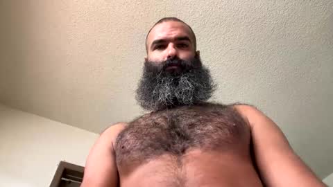 woof_wolf37 online show from 11-01-25, 04:42