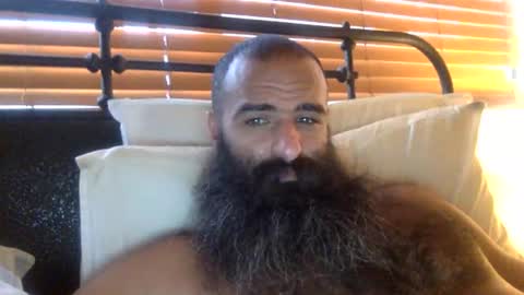 woof_wolf37 online show from 02-09-26, 03:05