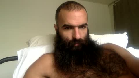 woof_wolf37 online show from 04-12-26, 04:01