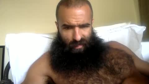 woof_wolf37 online show from 05-11-26, 04:04