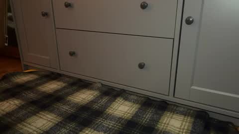 Snapshot of wookmortyy chatting on 12-21-25, 04:25 Sage online show from 12-21-25, 04:25