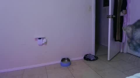 Crystal Lake online show from 11-30-25, 05:22