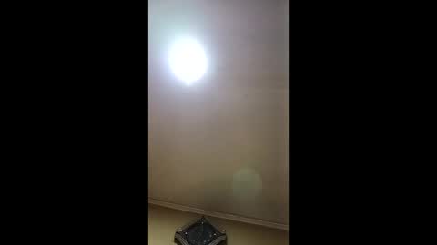 wuseegelfwqa online show from 04-04-26, 01:37