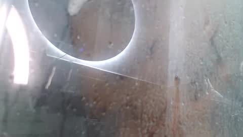 Andres online show from 02-03-25, 11:42